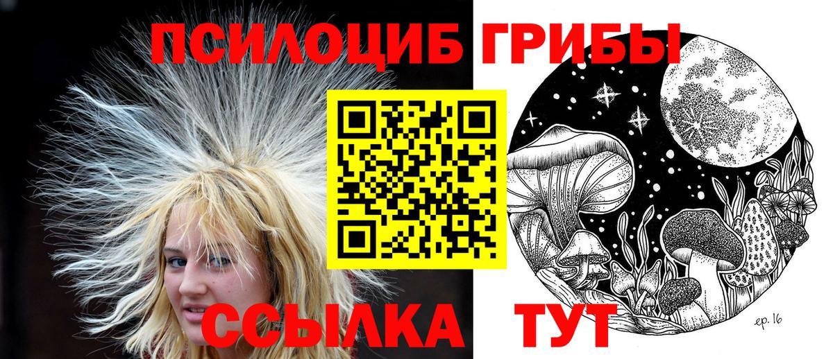 Псилоцибиновые грибы мицелий  Галлюциногенные грибы MAGIC MUSHROOMS  Тосно  Вход с VPN 